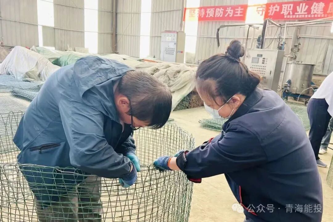 1763715801278405.jpg 0013.jpg